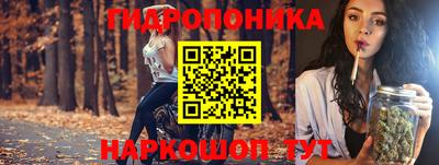 гидропоника Пушкино