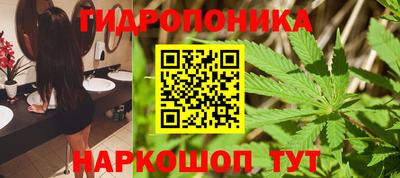 гидропоника Пушкино