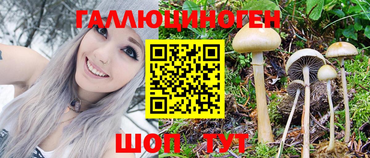 Галлюциногенные грибы MAGIC MUSHROOMS Истра